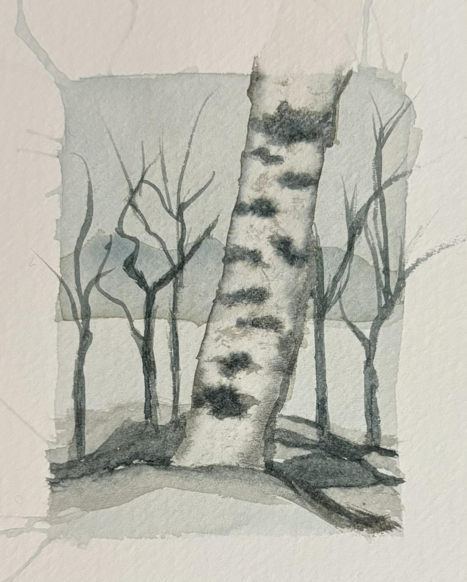 Birch Bark