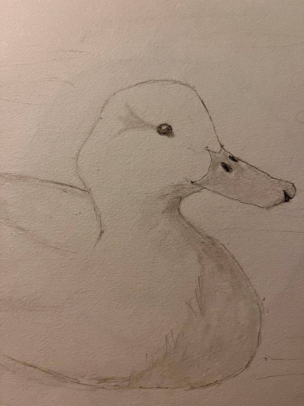 Crumby Quacker
