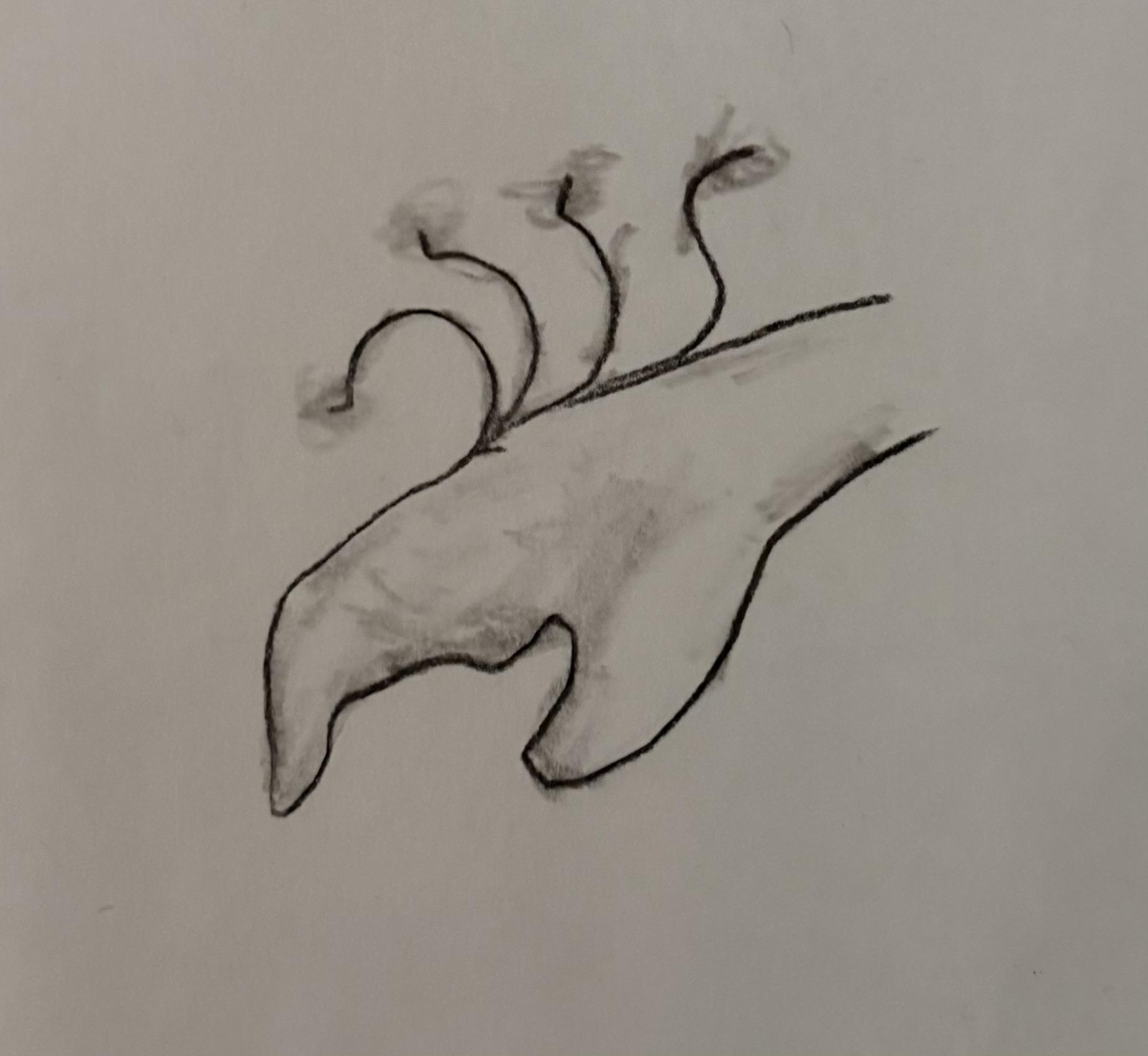 Amphibian Hand Hair