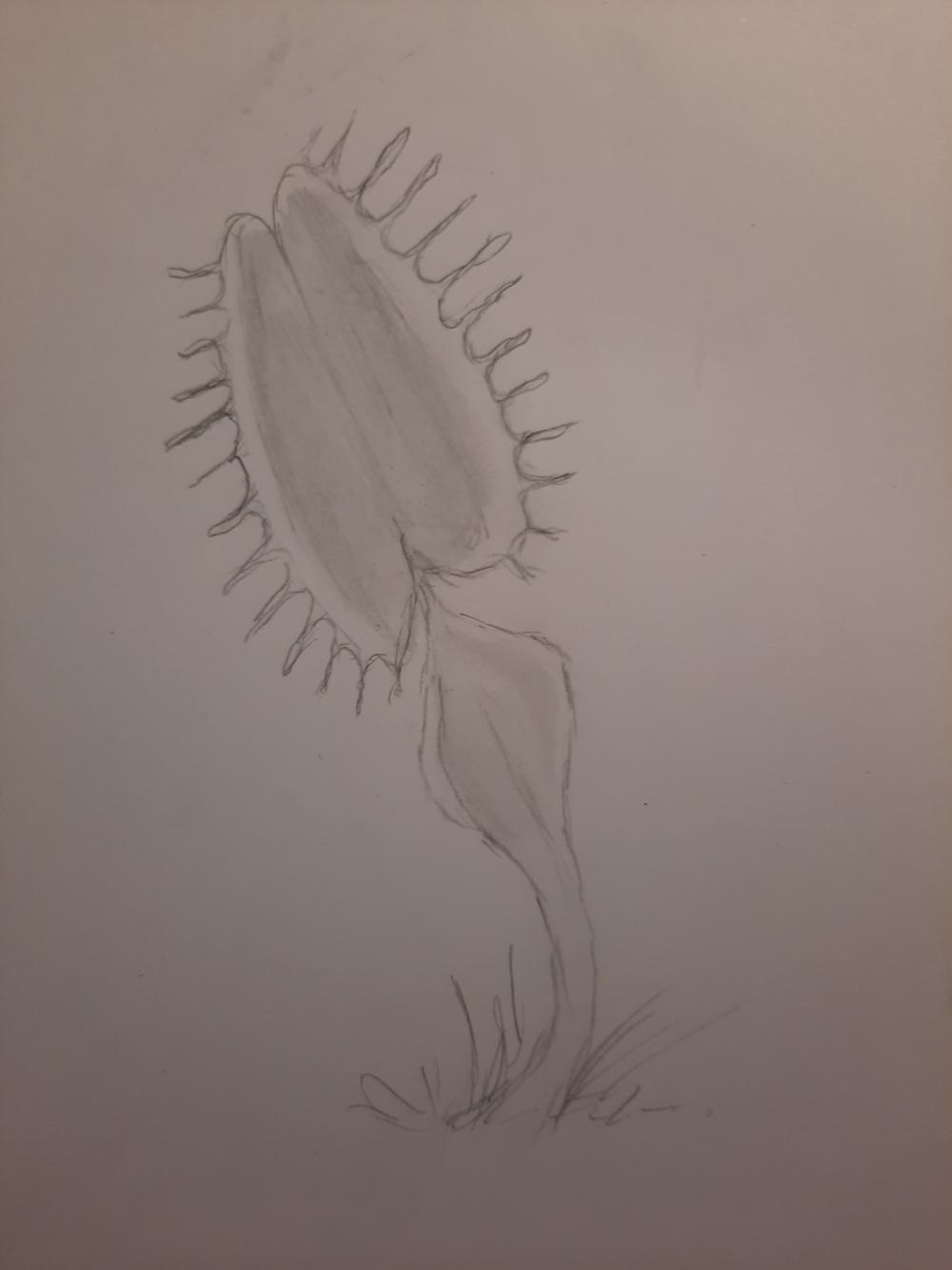 The Other Side